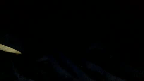 Snapshot of skinnypole6 chatting on 12/04/24, 06:06 skinnypole6 online show from 12/04/24, 06:06