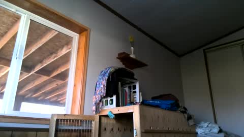 skinnystrong online show from 01/31/25, 10:10