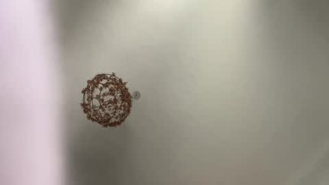 skuzzy25 online show from 03/03/25, 08:49