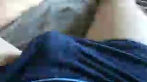 Snapshot of skyblu2031 chatting on 07/13/26, 05:38 skyblu2031 online show from 07/13/26, 05:38