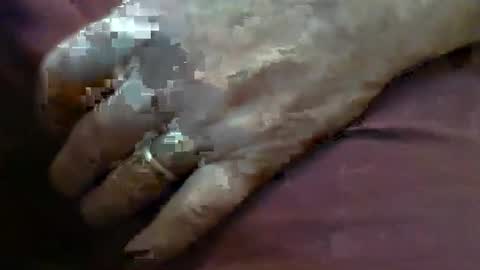 ResqPylot2 online show from 02/04/26, 04:13