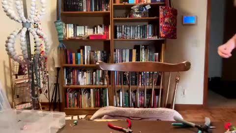 Sky Winters online show from 02/19/25, 11:46