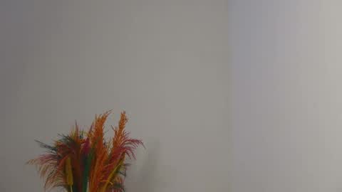 Bella online show from 02/03/25, 03:38