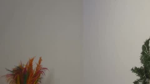 Bella online show from 02/04/25, 12:08