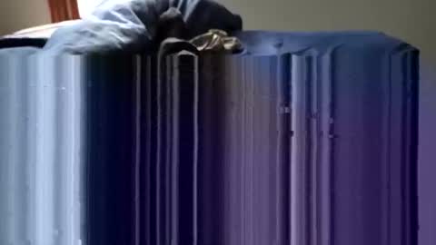 slappincheeks299 online show from 10/28/25, 10:23