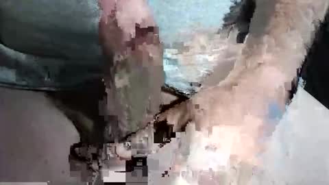 Z online show from 09/13/25, 10:31