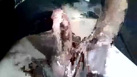 Z online show from 11/02/25, 09:28