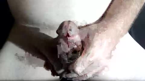 Z online show from 02/04/26, 08:47