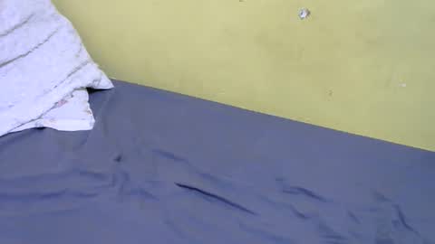 Snapshot of slim_bonny254 chatting on 12/17/25, 09:26 slim_bonny254 online show from 12/17/25, 09:26