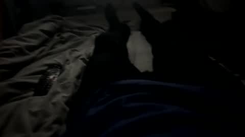 Snapshot of slimboy6900 chatting on 02/23/26, 01:36 slimboy6900 online show from 02/23/26, 01:36