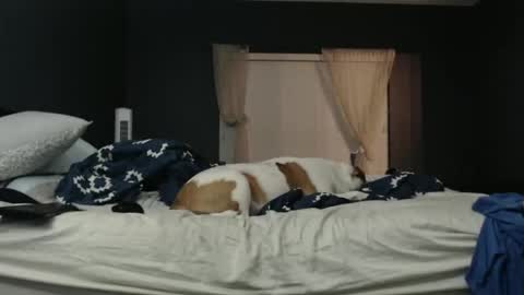 slimjp online show from 02/07/26, 02:26