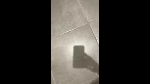 slimlord90 online show from 12/22/24, 04:28