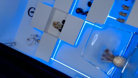 Ariana online show from 01/10/25, 11:43