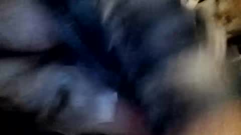 Snapshot of slutbreeze101 chatting on 02/23/26, 03:59 slutbreeze101 online show from 02/23/26, 03:59