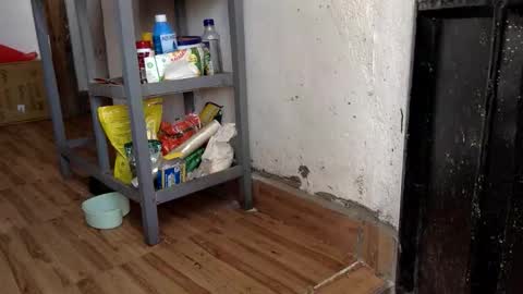 Skillibengisaadboy online show from 02/07/26, 07:23