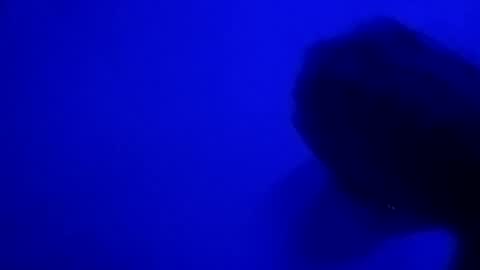 Nastyguurl online show from 06/28/26, 10:32