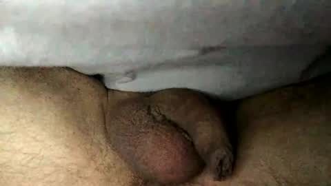 Bernd online show from 01/17/26, 02:16