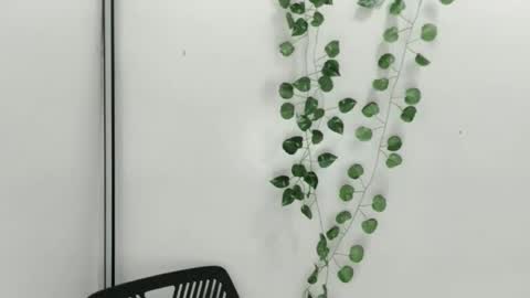 Julia online show from 10/09/25, 06:33