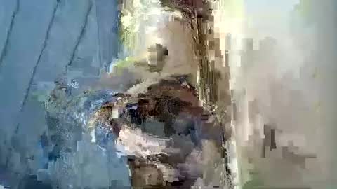 smiley_berry online show from 09/30/25, 07:30