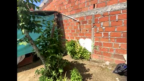 Snapshot of smith_oliver chatting on 12/08/24, 05:01 Smith online show from 12/08/24, 05:01