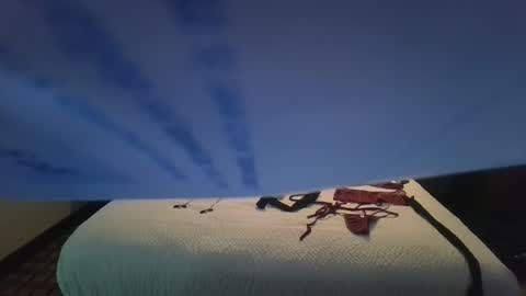 love bug online show from 10/26/25, 08:42