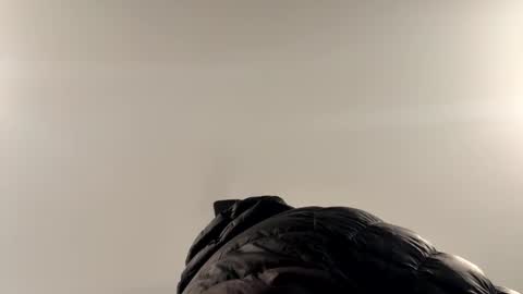 smokeymt420 online show from 02/01/26, 04:05