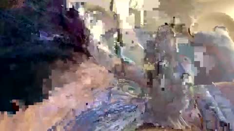 smokingdank online show from 12/18/24, 03:47