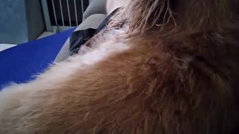 smokynight online show from 09/26/25, 08:57