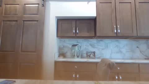 Bambi--Vodka online show from 01/30/25, 07:48