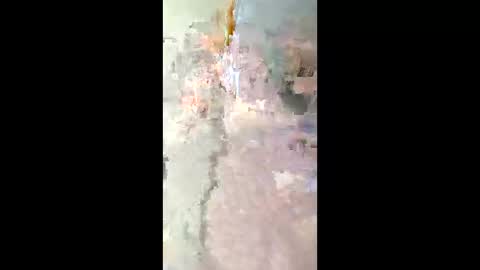 smyklops online show from 01/08/26, 03:09