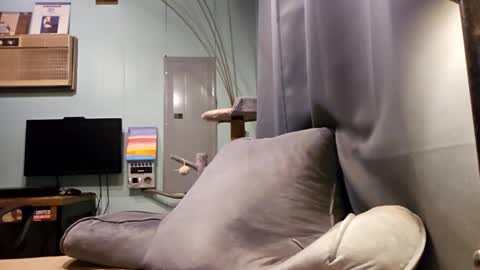 Snackyyyy online show from 02/06/26, 01:10