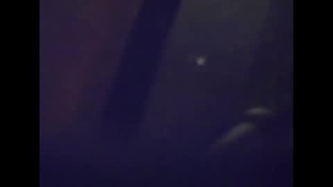 Mark online show from 01/15/25, 05:08