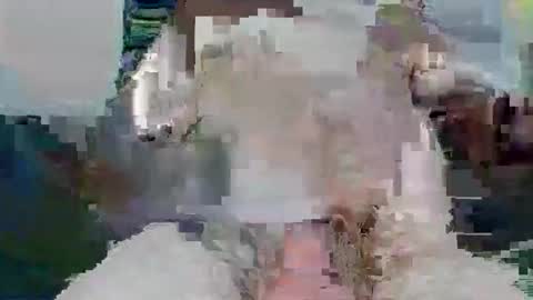 snakey boy online show from 11/26/25, 10:05