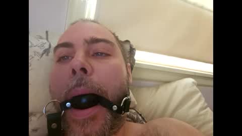 snarkymarks online show from 12/17/25, 03:51