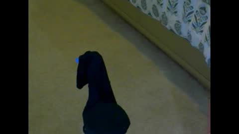 Snapshot of snizniz chatting on 12/02/24, 04:09 snizniz online show from 12/02/24, 04:09