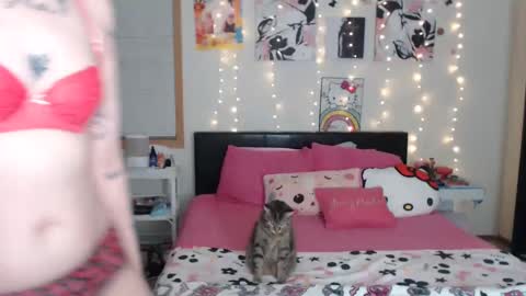 Snapshot of snow_money chatting on 03/06/25, 04:19 snow_money online show from 03/06/25, 04:19