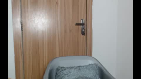 snowdrop5 online show from 01/31/25, 11:03