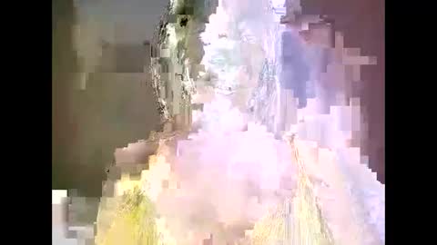 snowfox254 online show from 10/09/25, 10:41