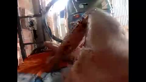 Snapshot of snqhephncxpu chatting on 02/17/26, 01:18 snqhephncxpu online show from 02/17/26, 01:18