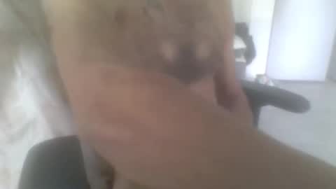 sodomite754 online show from 11/09/25, 05:06