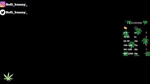 soffi_bunny_ online show from 01/08/26, 08:05