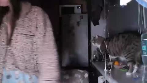 Sofi online show from 12/14/25, 08:02