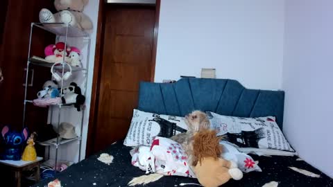 sofia86379 online show from 03/17/26, 07:50