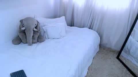 sofia Ill be back on Tuesday June 4.  online show from 02/13/25, 05:01