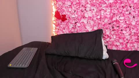 Snapshot of sofia_riveraa chatting on 01/22/25, 11:53 SOFIA online show from 01/22/25, 11:53