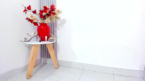 Snapshot of sofia_riveraa chatting on 02/04/25, 11:27 SOFIA online show from 02/04/25, 11:27