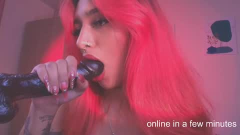 Snapshot of sofiaafoxx chatting on 02/01/26, 11:14 Sofia online show from 02/01/26, 11:14