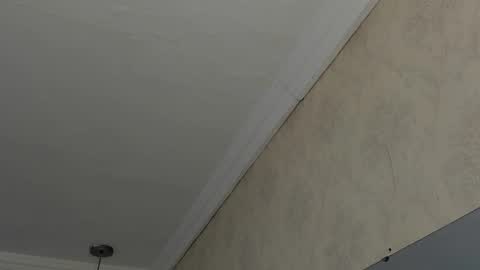 Sofi - next broadcast today 1030pm Colombia time online show from 02/26/25, 04:47