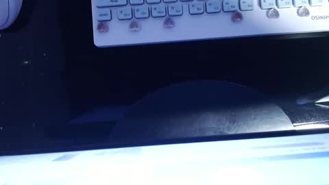 Snapshot of sofianix chatting on 01/13/25, 06:06 SOFIA NIX online show from 01/13/25, 06:06