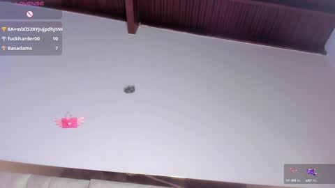 Sofia online show from 03/09/25, 10:41